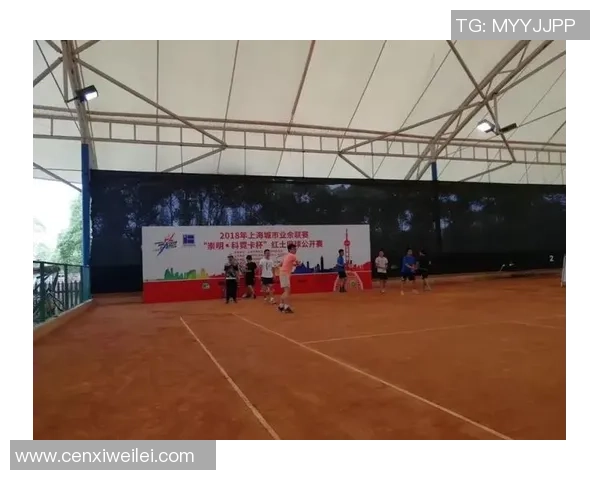 西安网球队在城市联赛中的个人能力分析与表现评估