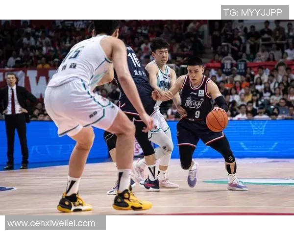 广州篮球队团队协作能力提升显著荣获全国篮球团队协作排名新高